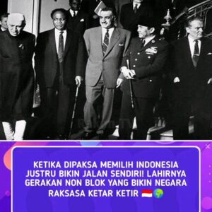 1772707551913